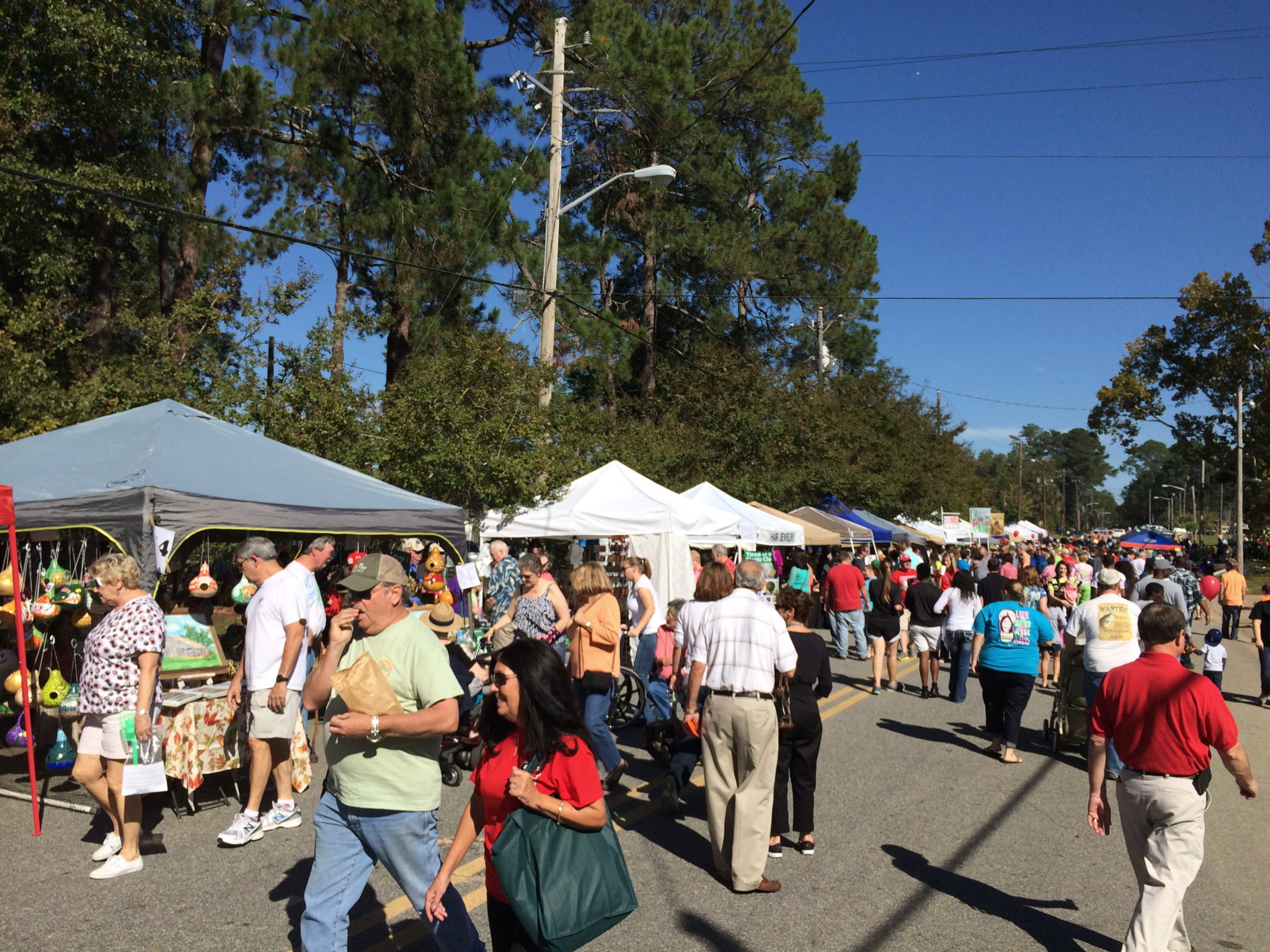 IMG_6163 GA Peanut Festival