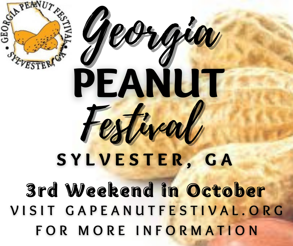 About GA Peanut Festival